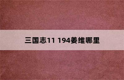 三国志11 194姜维哪里